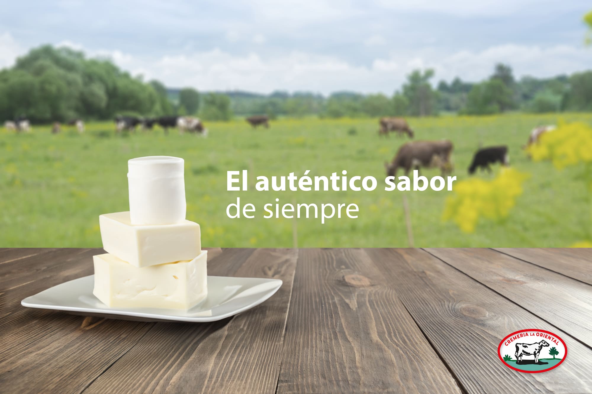 Queso fresco-mesa-madera-oscura-paisaje-borroso-vaca-pradera-alimentacion-saludable-estilo-rustico