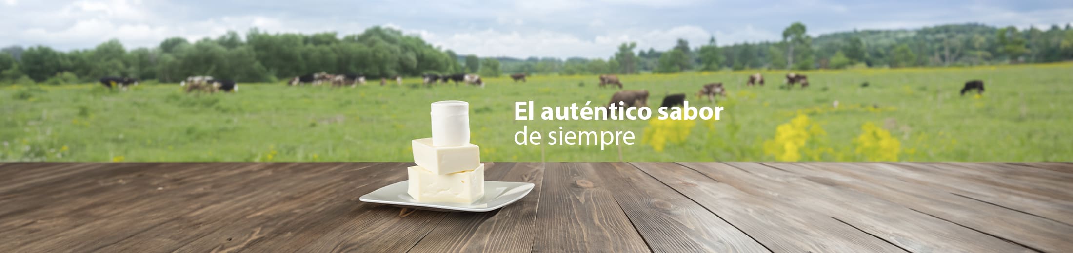 Banner-cremeria-la-oriental-imagen-de-meza-con-trosos-de-quesoen-el-campo-con-vacas-en-zacapa-guatemala